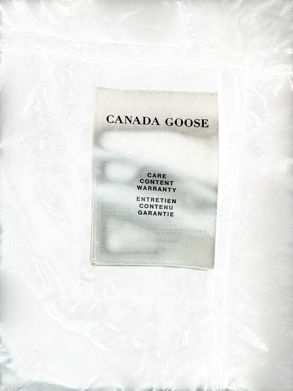 Canada goose Women's Long Silver Coat